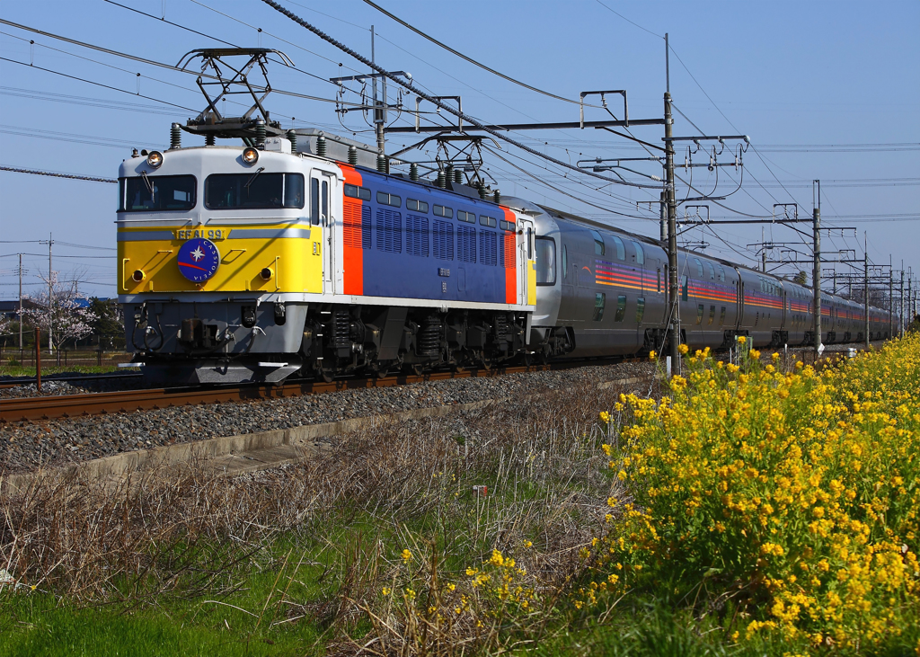 EF81-99