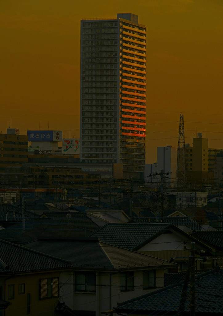 レンズテスト夕景（縦）