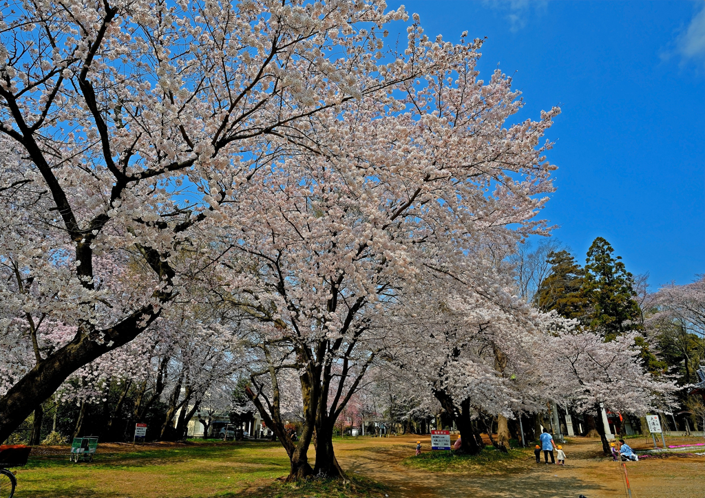 上氷川神社