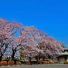 観蔵院