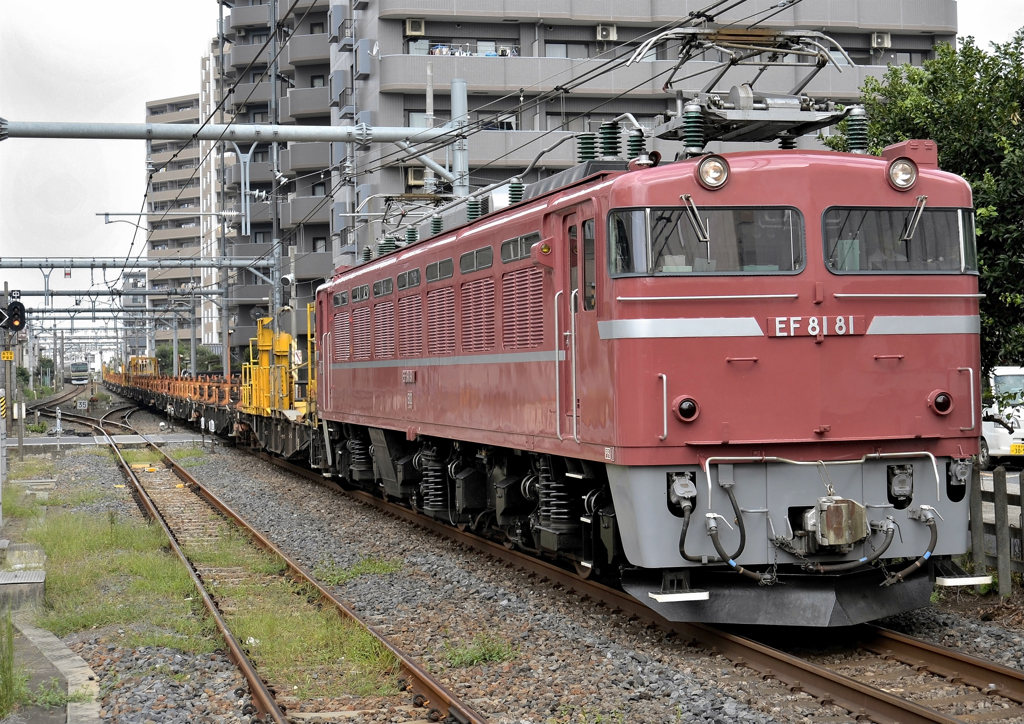 EF81-81