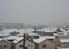 54年ぶり11月の雪