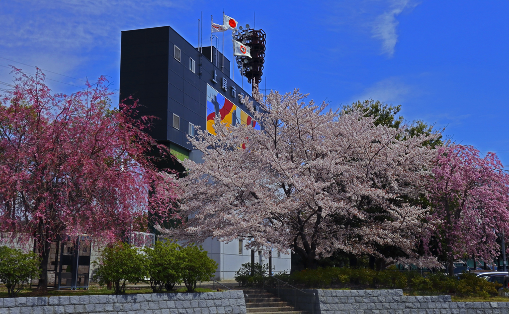上平公園