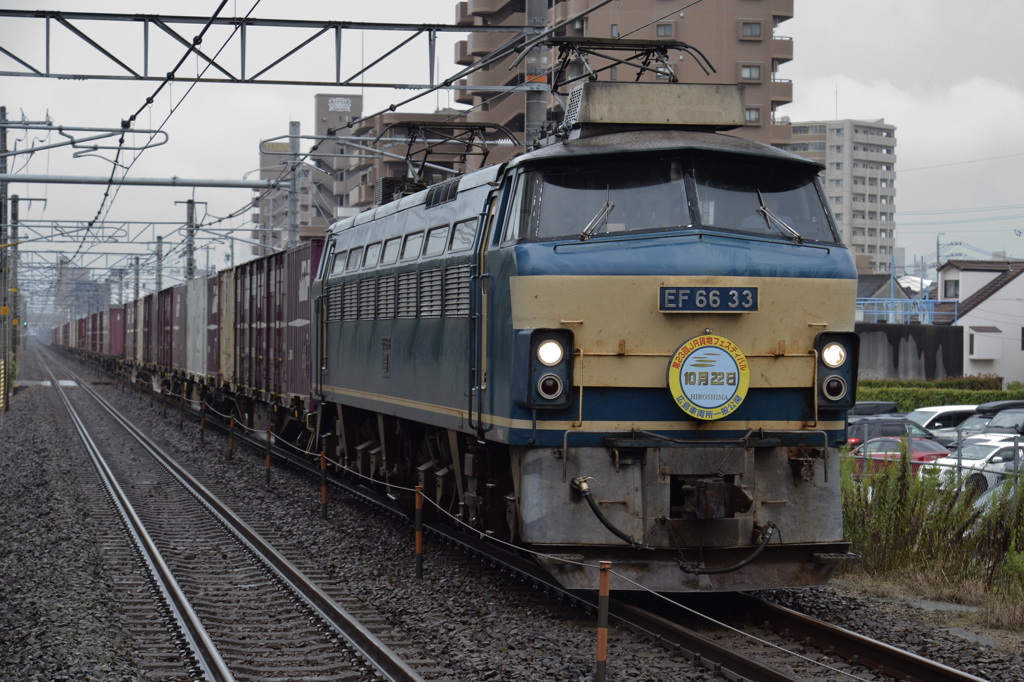 ＥＦ６６ー33