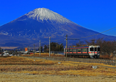 313系