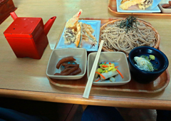 道の駅 たくみの里