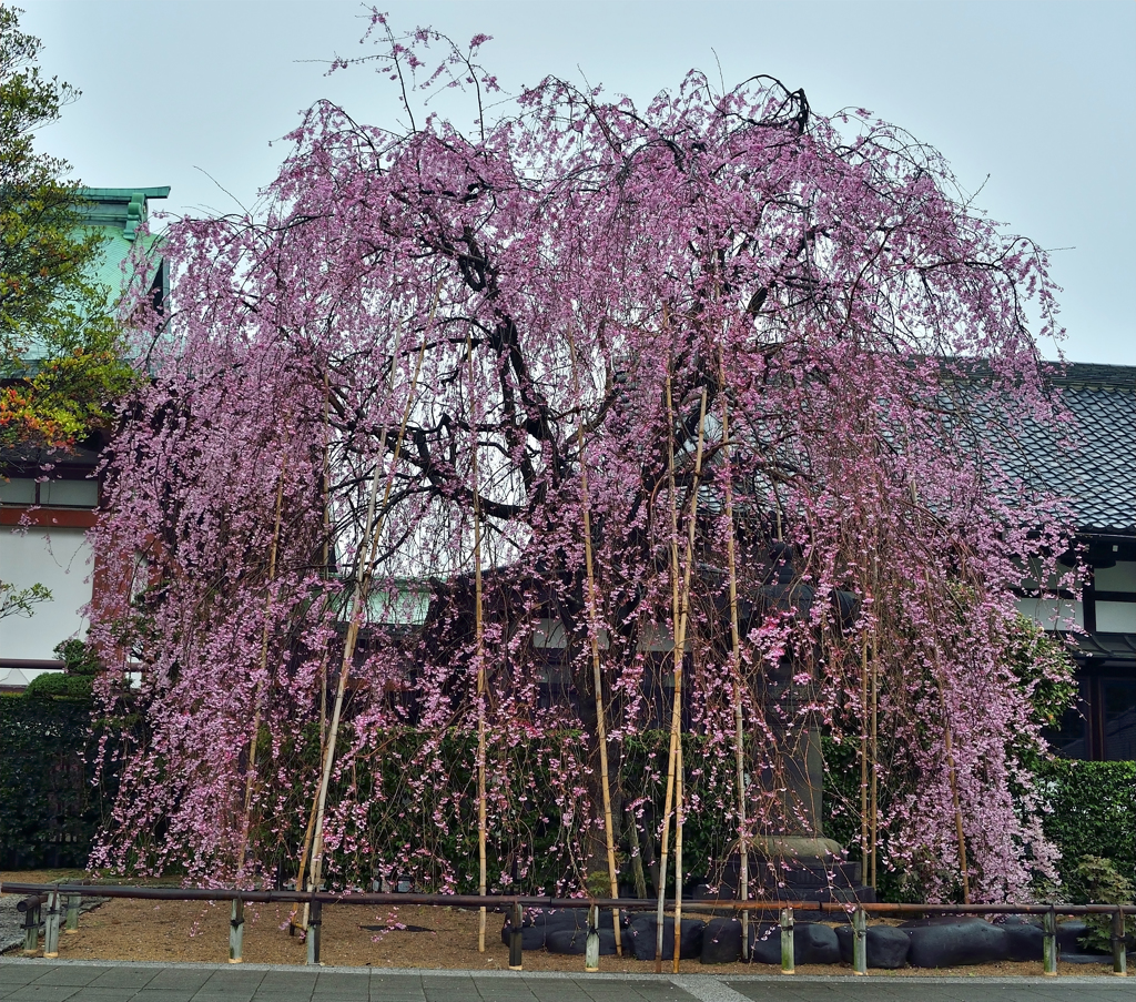 諏訪山吉祥寺