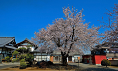 龍真寺