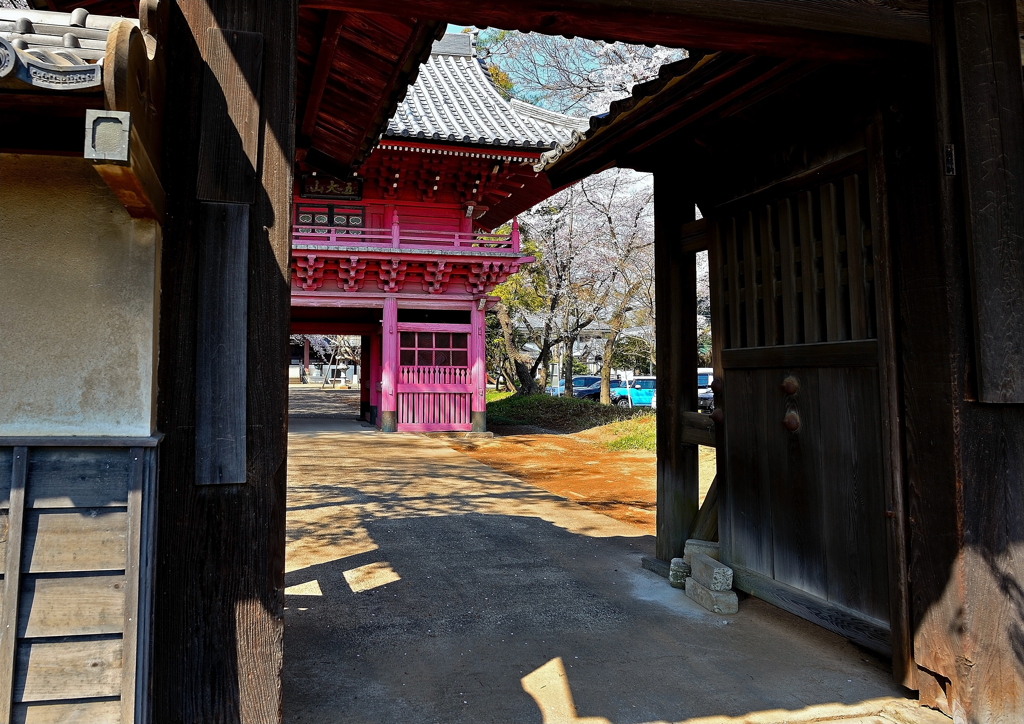 明星院