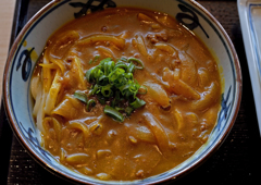 宮武讃岐うどん カレーうどん大盛り