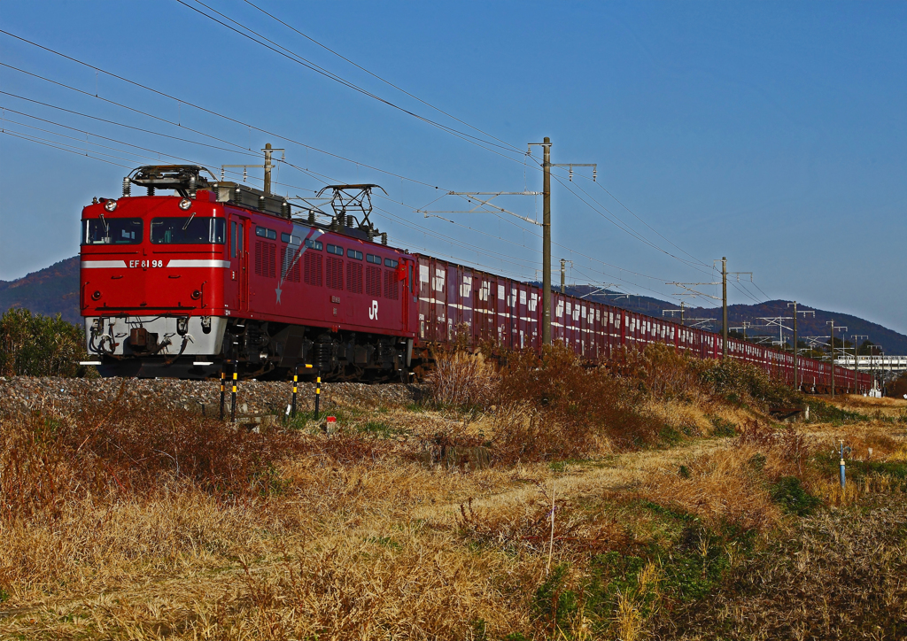 EF81-98