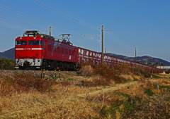 EF81-98