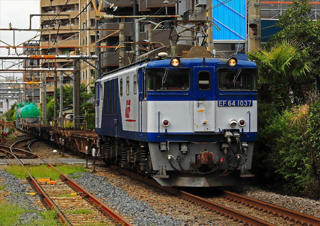 EF64-1037