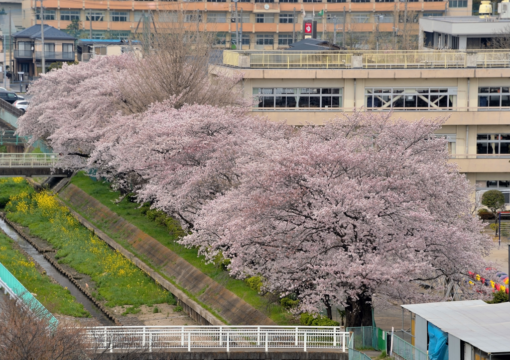 東小学校