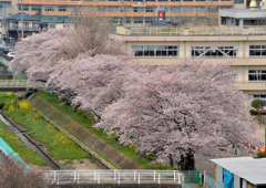 東小学校