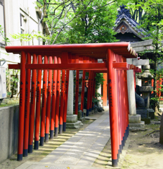 花本社