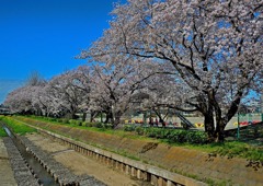 東小学校