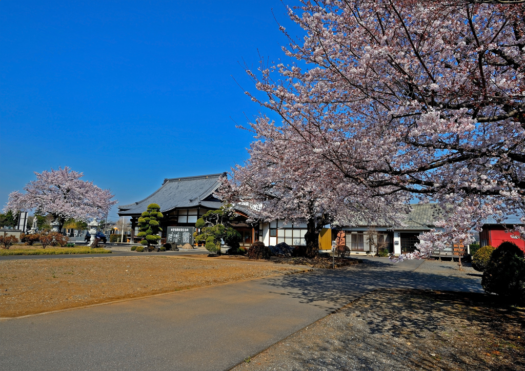 龍真寺