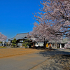 龍真寺