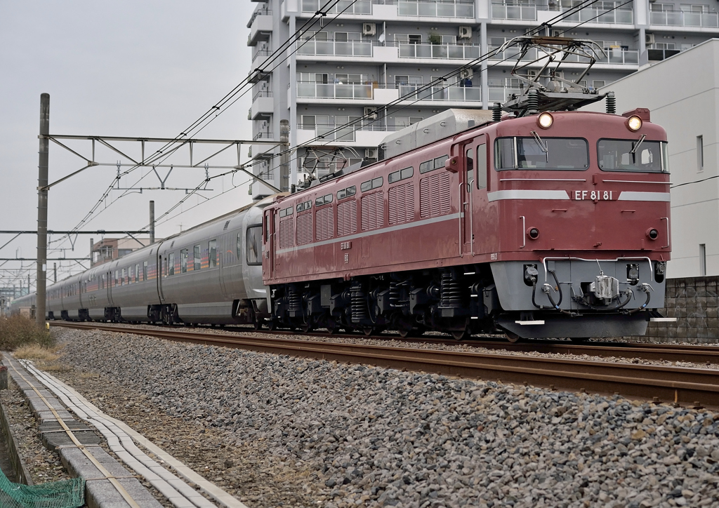EF81-81