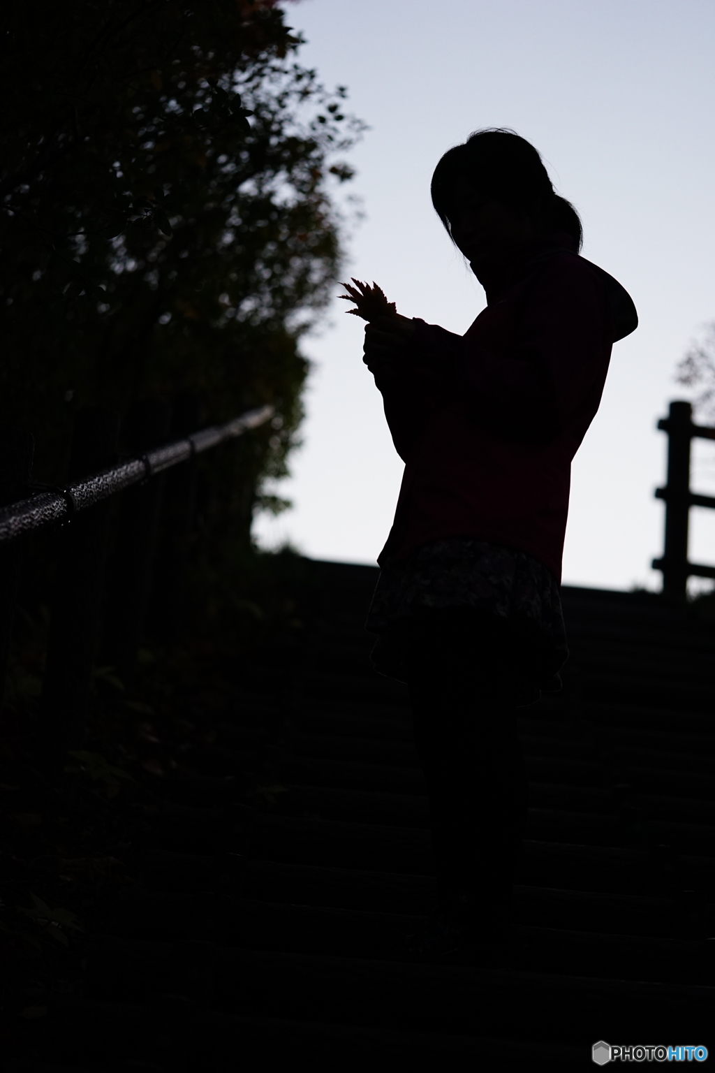 silhouette