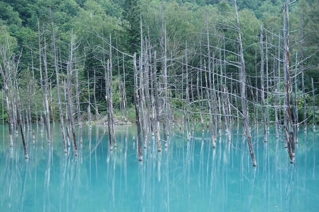 青い池