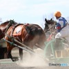 ばんえい競馬