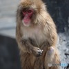 狙いを定めて