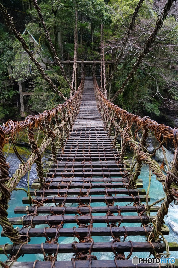 祖谷のかずら橋