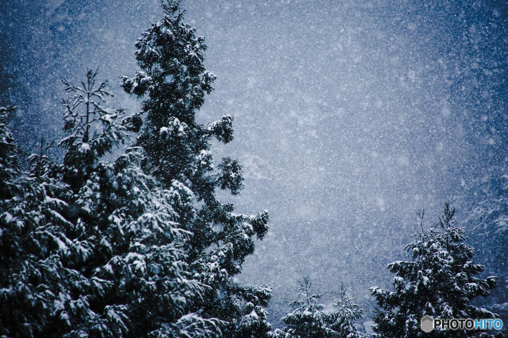 吹雪