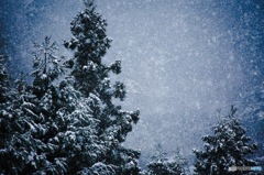 吹雪