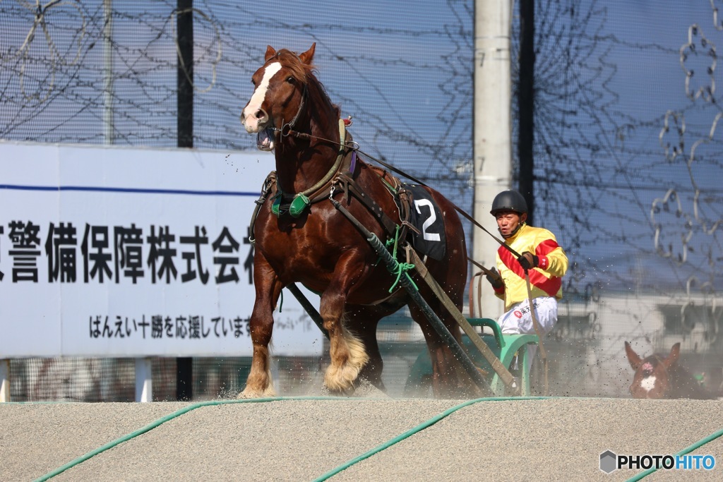 ばんえい競馬