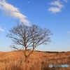 荒野