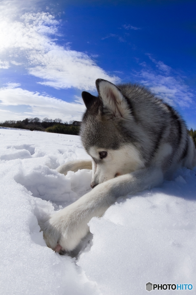 青空と雪