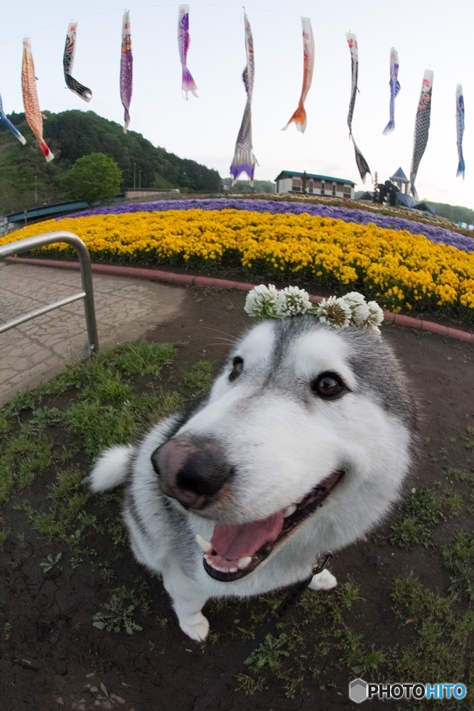 似合うでしょ
