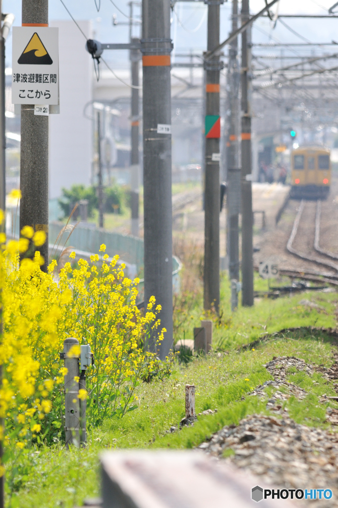 駅　-春-