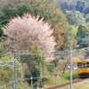 ロ－カル線　－山桜－