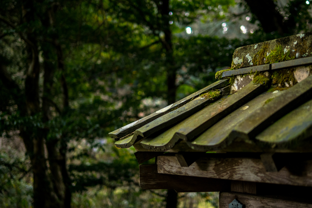 古刹・月照寺