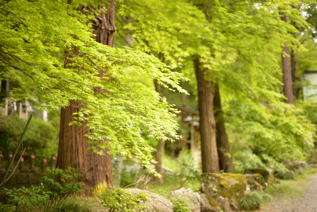 馬頭町乾徳寺