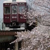 桜-7 夙川の桜と阪急電車