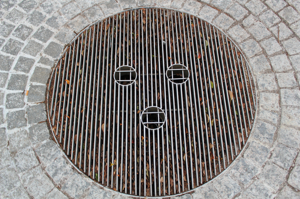 何か言いたそう