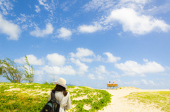 ハレイワの浜辺