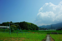 夏！公園！