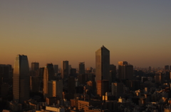 From World Trade Center Building in Toky