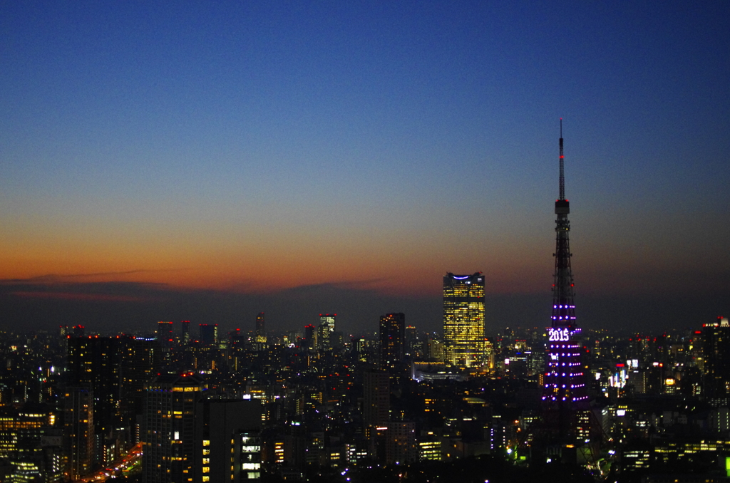 From World Trade Center Building in Toky