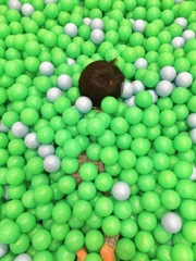 カメレオン