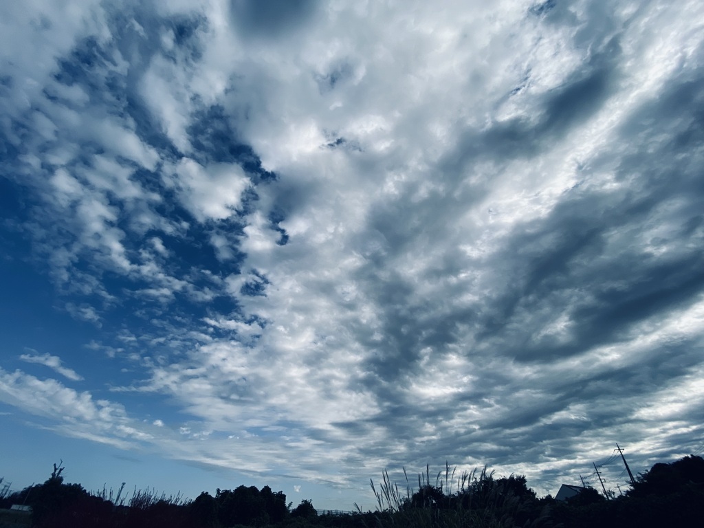 今日の空