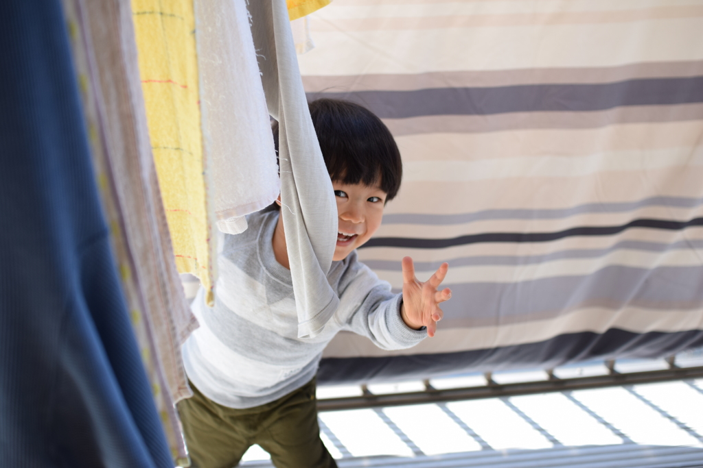 晴れた休日はかくれんぼ・・・ではありません。