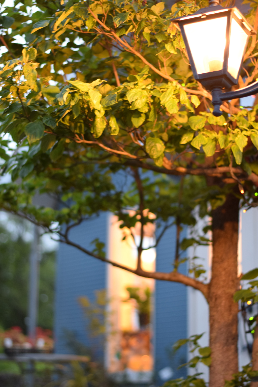 夕暮れのあかり