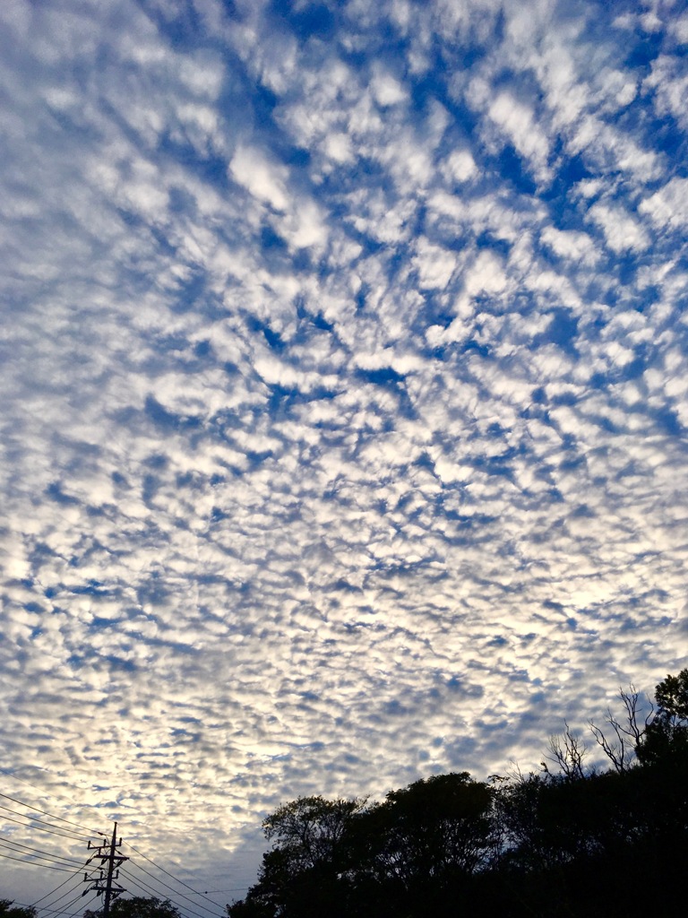 秋空